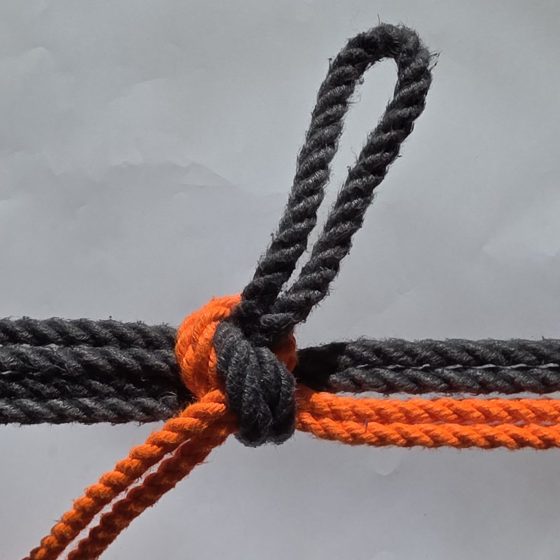 somerville bowline